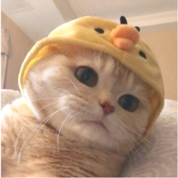 𝘀𝗼