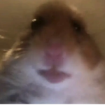 Doudouuu