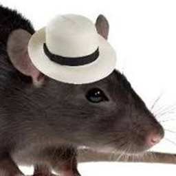 Folla Del Topo (the rat king fast food)