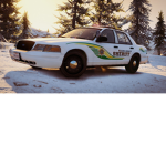 The sheriffs in sandy