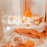 *- Grace’s Apparel -*