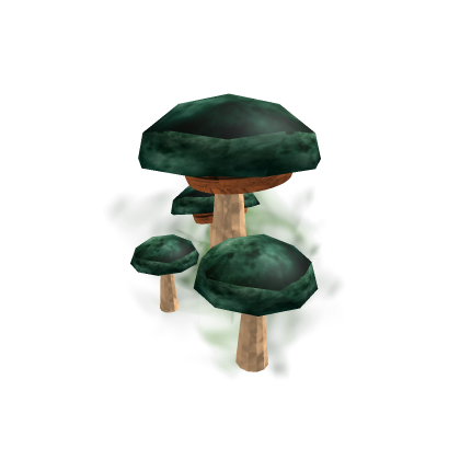 Strange mushrooms