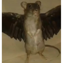 𝖆𝖓