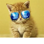 ...Just Chill...