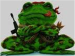 the termanating commando frogs of pwnage