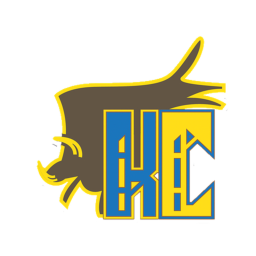 Kansas City Stampede