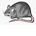 The Holy Rats Unite