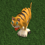 New Tigers
