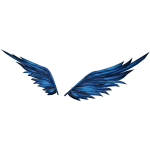 Blue Jay Wings