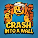 Crash into a WALL💥🧱