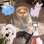 Just for llamas