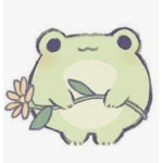 -bloom-