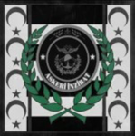 TSH | Askeri İnzibat