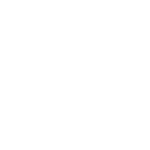 Neon Valk