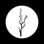 Blackthorn Interactive