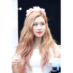 Blinks blackpink fan's