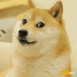 Doge woof gang