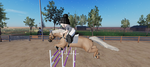Horsesandponys