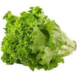 Lettuce4L