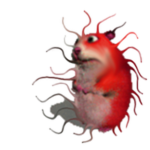 Virus Chomik