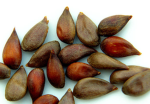 Apples seeds gang