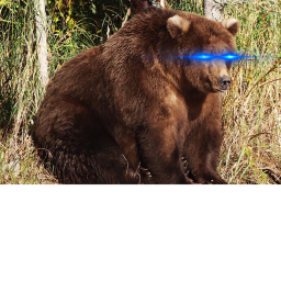 Yes