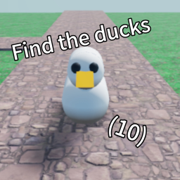 (11) find the ducks