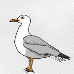 The Seagullists