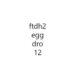the 12th annual ftdh2 egg drop icon