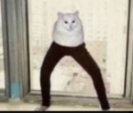 FOR ROUBUX GIFTING ONLY
