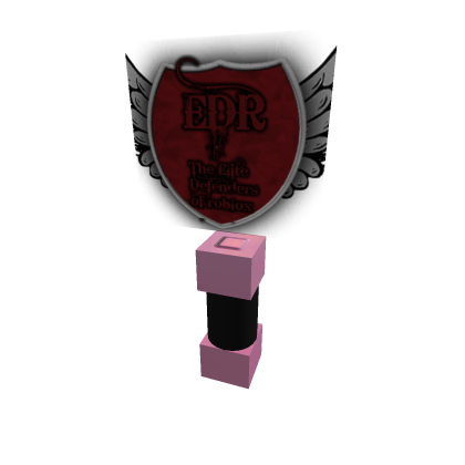 EDR Sign holder