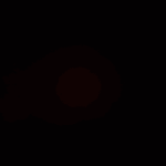 YTdraco