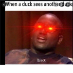 g"y quiz