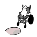 Wheelchair Cat