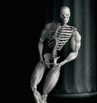 Isopodians