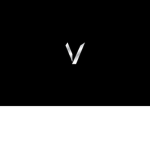 [FVS] | Federal Vic Security