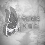 aerix 옷