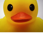 The duck and frog bffs