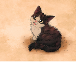 Cat timosha studio
