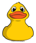 DuckCommunity