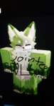 Team c00Lfurry