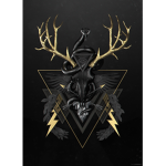 The order of Black magic lords