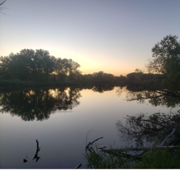 Fanta's Soda Machine