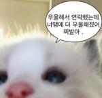 류오이 그룹