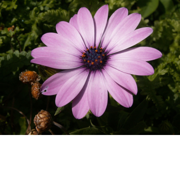 Head in the Clouds Showcase [incomplete]