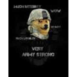 American Doges training