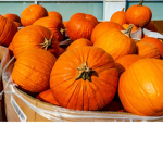 PUMPKIN W0RLD!