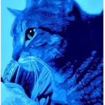 Blu Kats
