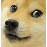 DogeMemeClan