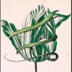 Life in a Medieval City 3